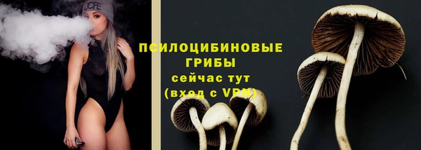стаф Саяногорск
